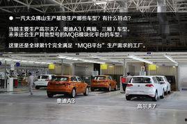 大众化工厂爆料视频播放